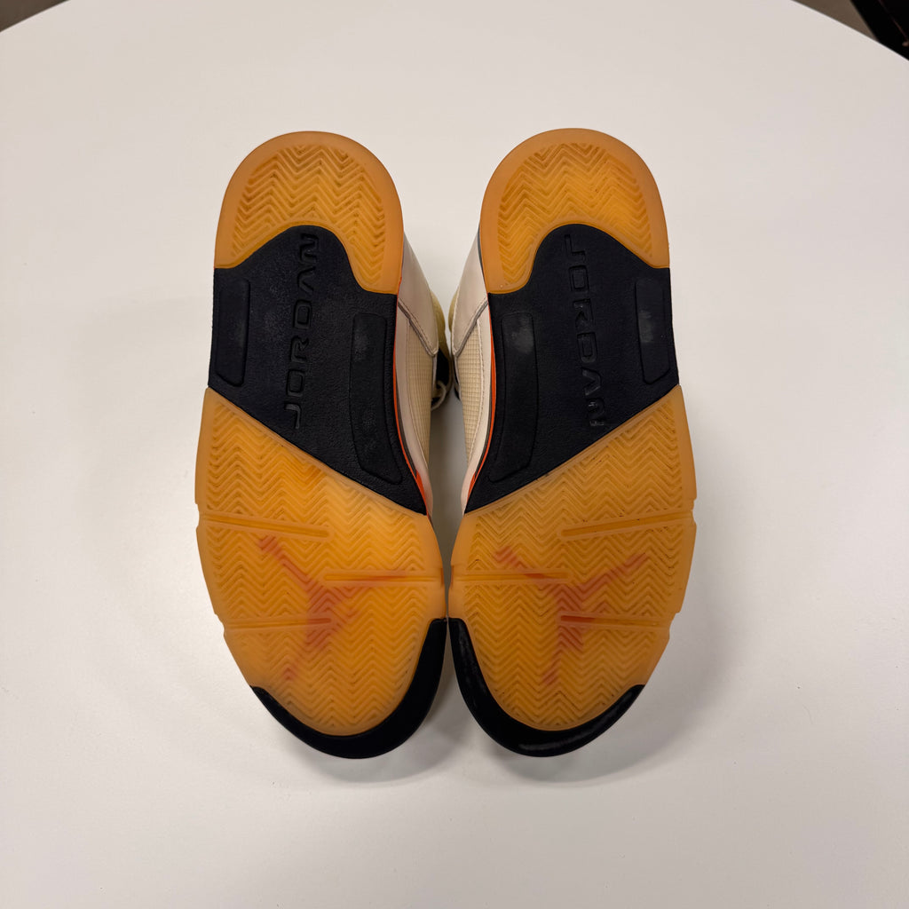 Jordan 5 'Shattered Backboard' (10.5) Used