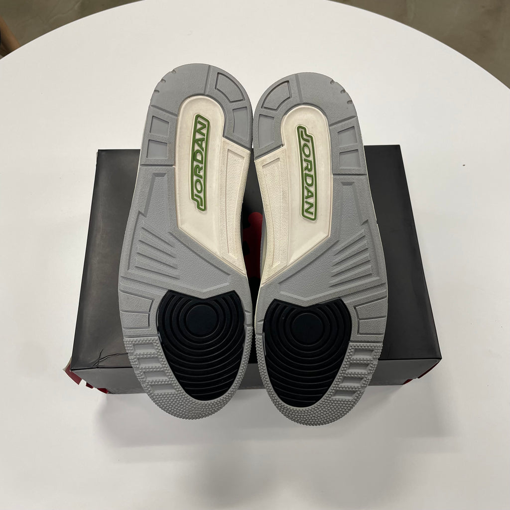 Jordan 3 'Chlorophyll' (10.5) Used